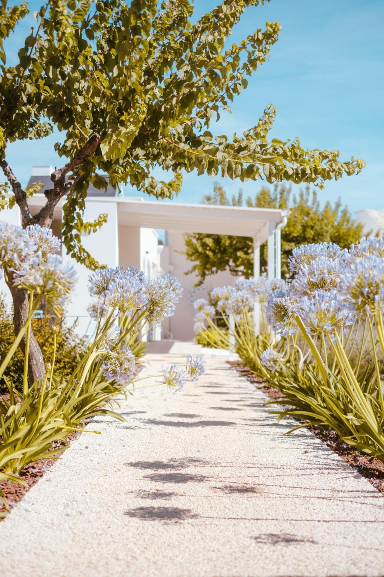 Iconica Luxury Suites Αλμπερομπέλο Εξωτερικό φωτογραφία