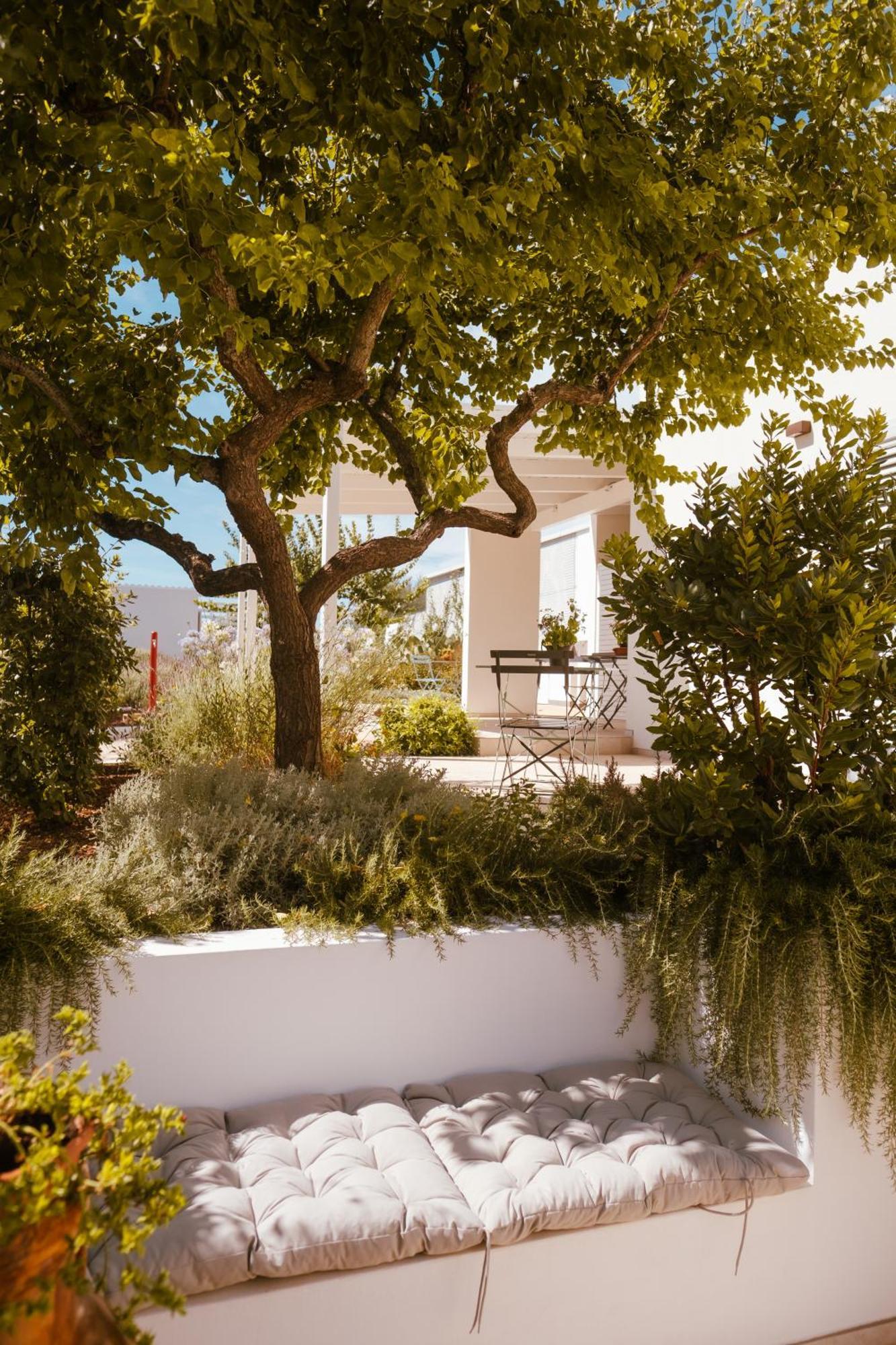 Iconica Luxury Suites Αλμπερομπέλο Εξωτερικό φωτογραφία